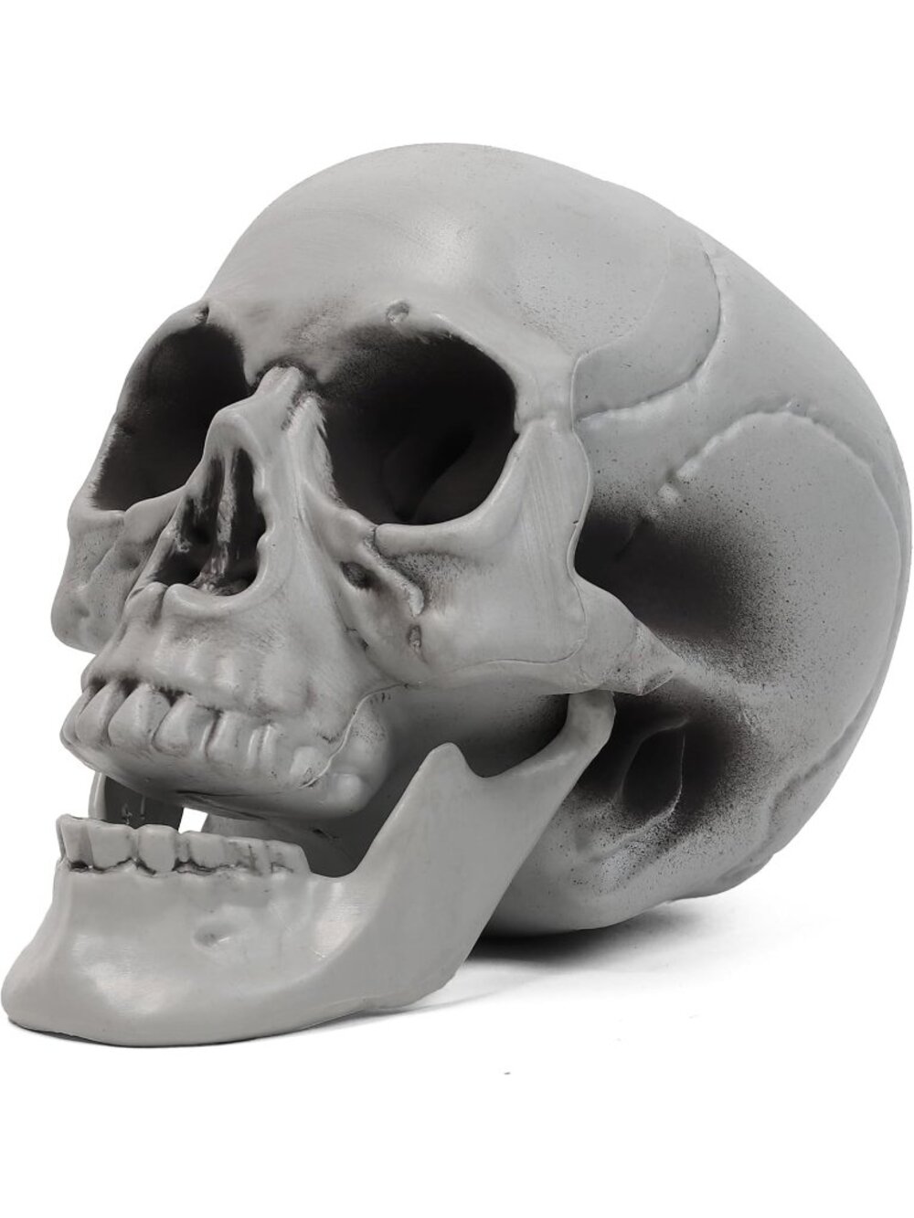 🎃Halloween Decor Graveyard Life Size Skeleton Skull Lightweight Outdoor White - Picture 4 of 6